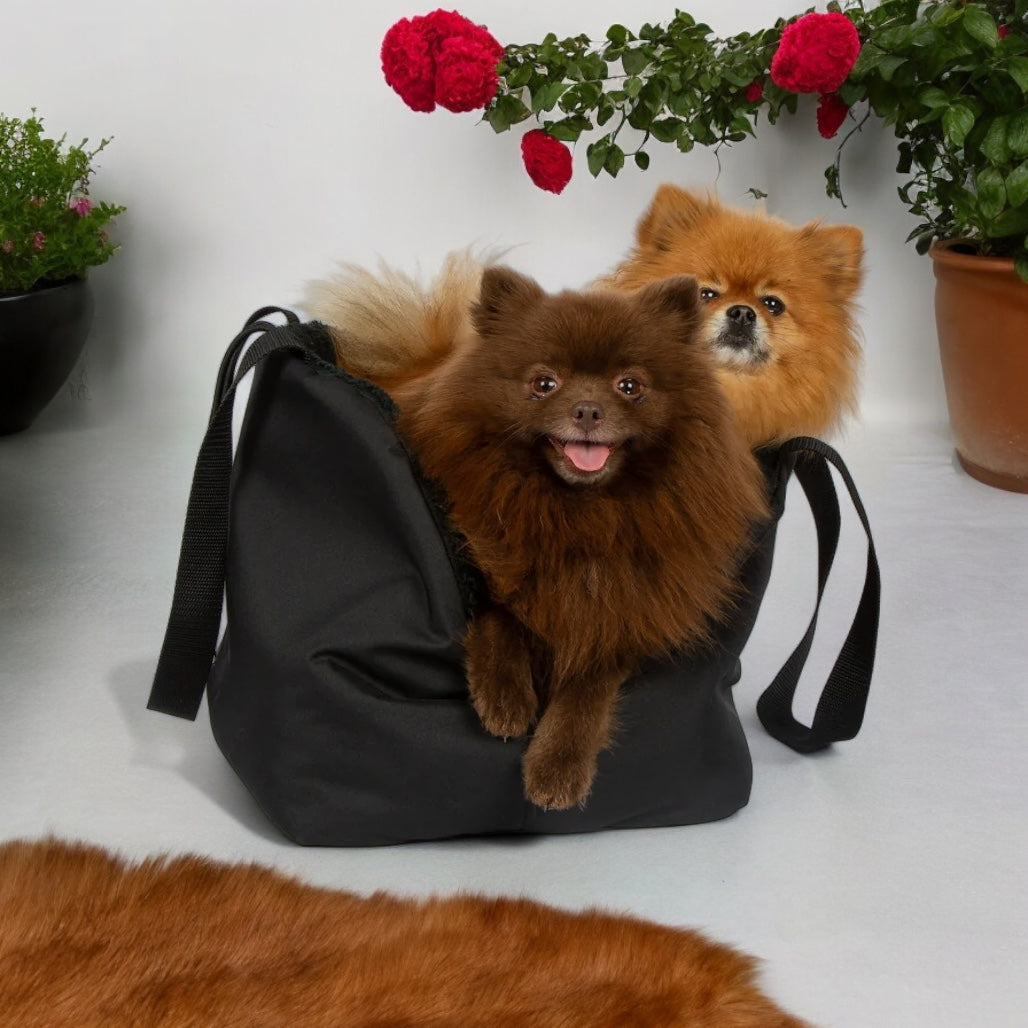 Rainy Bear Black Dog Carrier Bag by Soho Poms