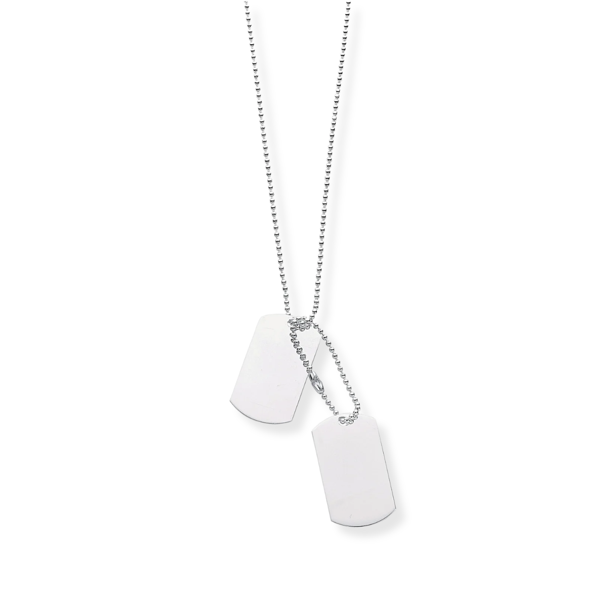 Silver Dog Tags 20" Chain