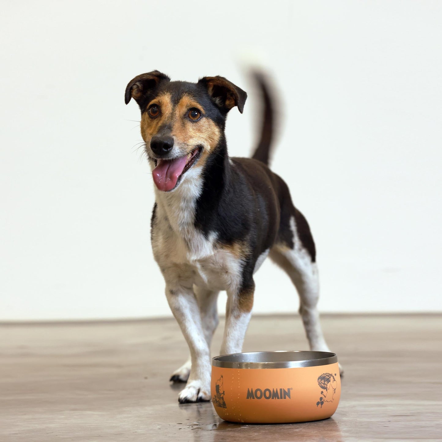 Moomins Peach Lunar Food Bowl