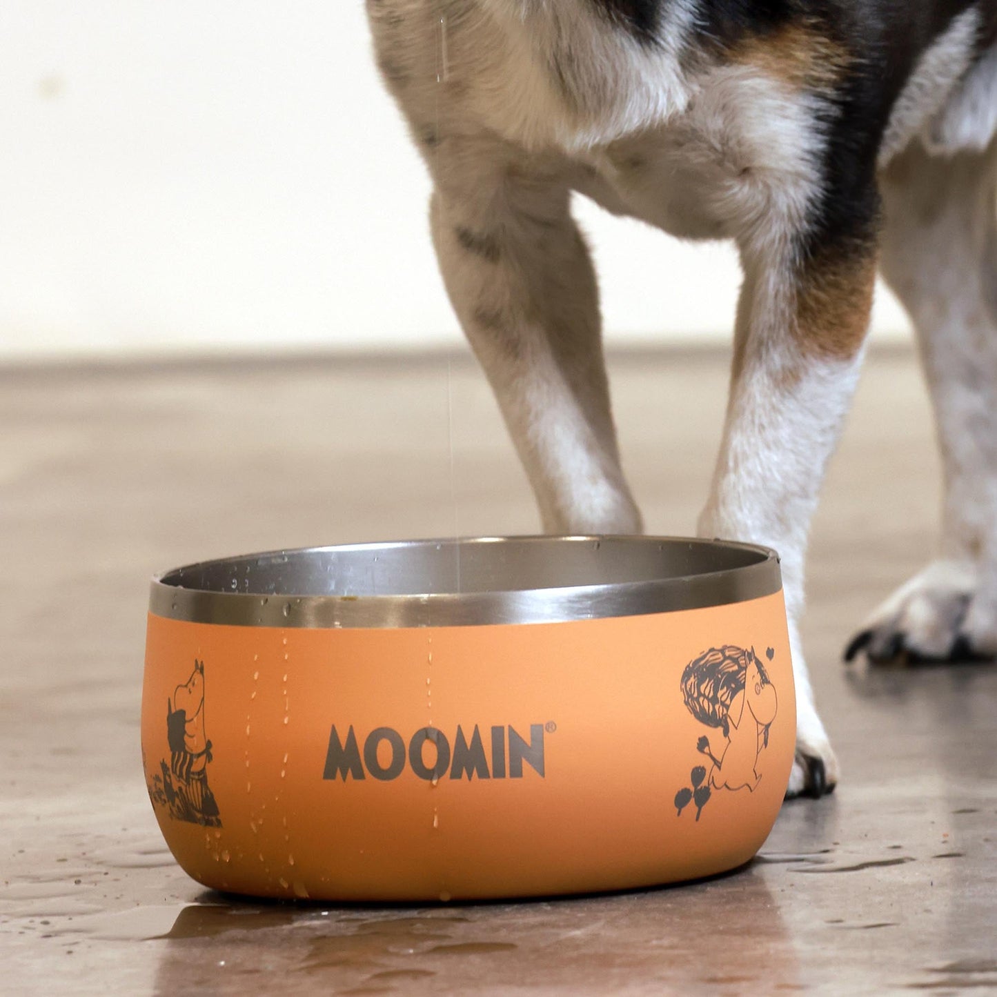 Moomins Peach Lunar Food Bowl