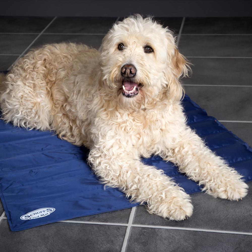 Scruffs Dog Cooling Mat