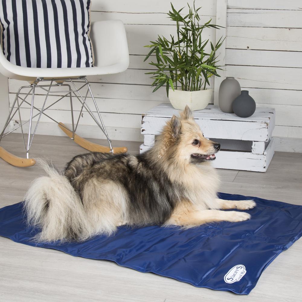 Scruffs Dog Cooling Mat