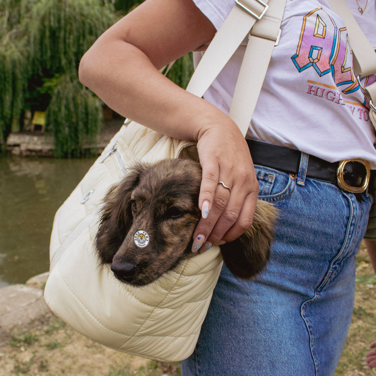 Sand Dune | Wardour Dog Carrier