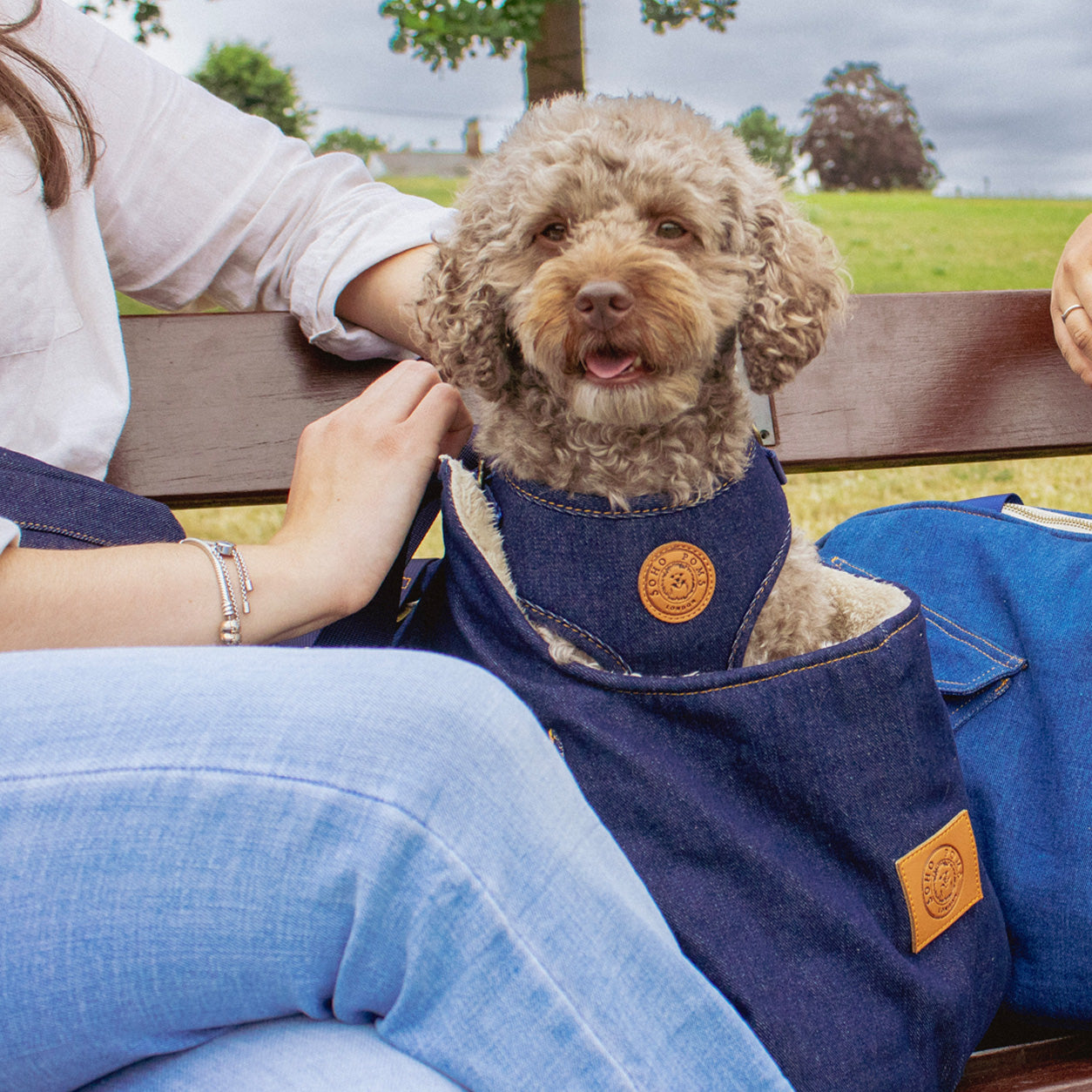 Soho Poms Luxury Frith Denim Dog Carrier - Urban Edge