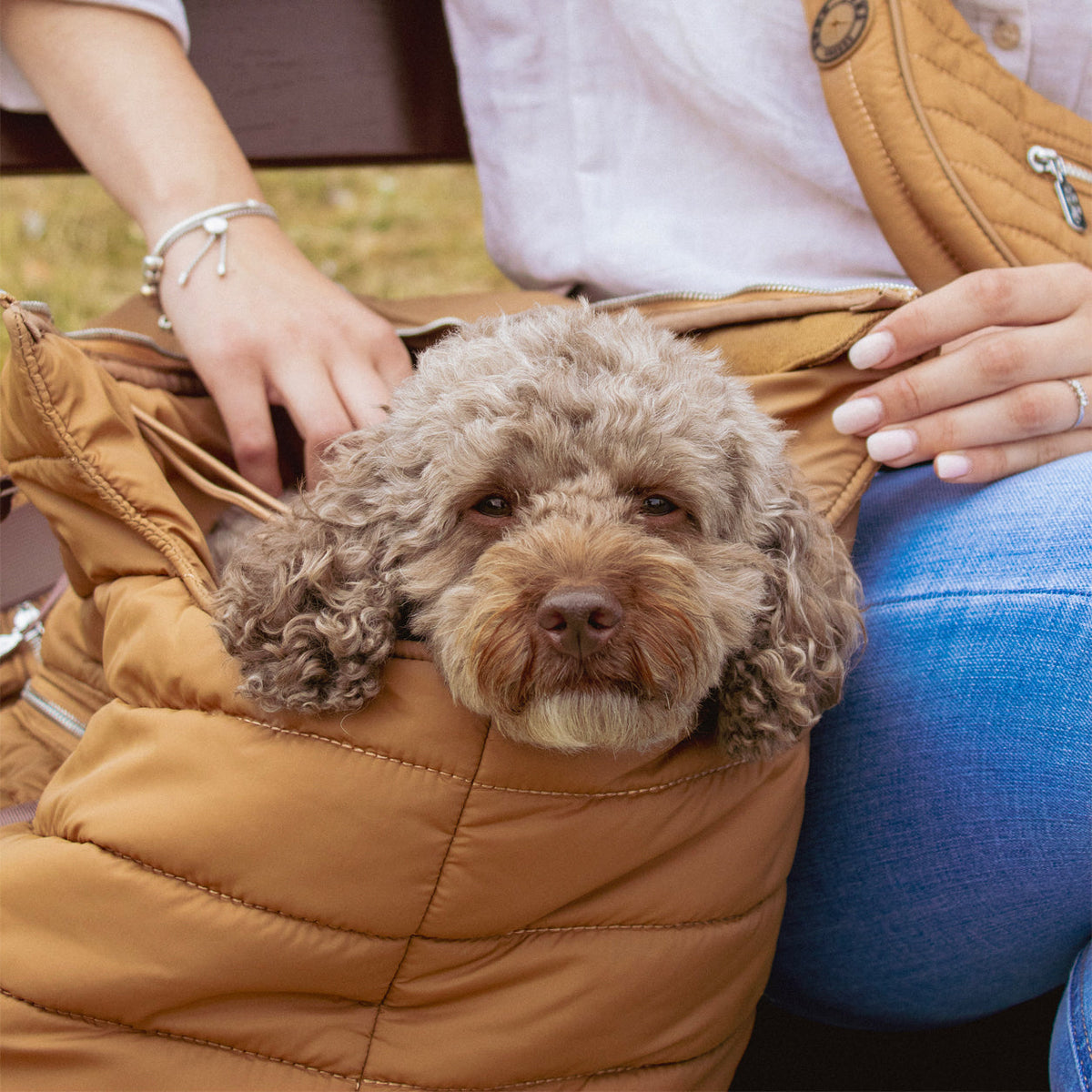 Copper Muse | Wardour Dog Carrier
